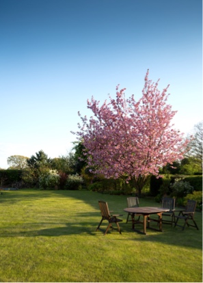 Gartenbau Scharf in München West