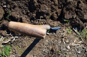 Ihr Garten in München in unseren Händen